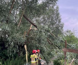 Tragiczne skutki nawałnicy na Kujawach i Pomorzu! Jednej osoba wciąż nie odnaleziono