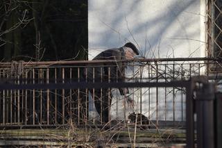  Tak mieszka Jarosław Kaczyński 