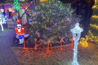 Niewielki ogródek pod blokiem niczym mini Las Vegas. To wyjątkowe miejsce w Zielonej Górze 