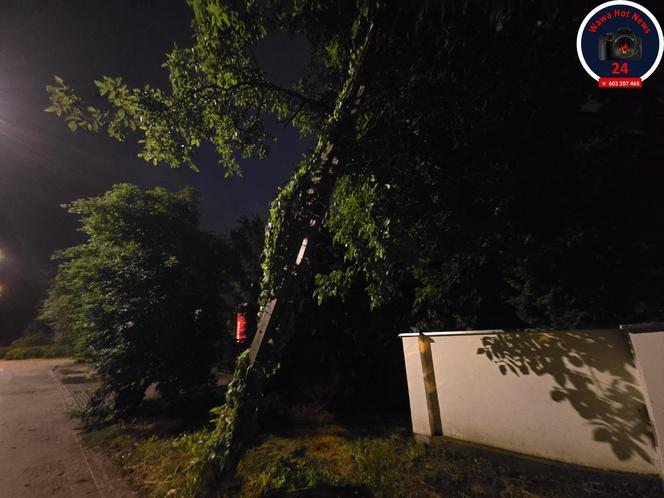 Warszawa zalana po burzy! Gigantyczne szkody na ulicach i posesjach