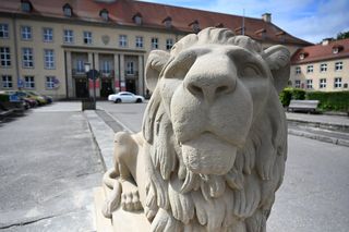 Koszalińskie lwy odzyskały dawny blask