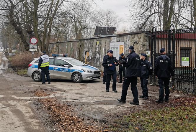 Ucieczka pantery śnieżnej z zoo w Chorzowie. Zdjęcia z akcji poszukiwawczej