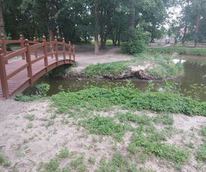 Park im. Szafera w Rzeszowie 