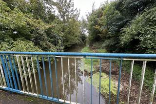 Jak wygląda sytuacja w Wielkopolsce? 