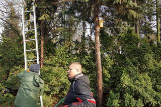  Budki lęgowe zawisły w bydgoskim Ogrodzie Botanicznym UKW w Bydgoszczy