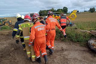 Bukowiec: Zawalił się strop nad oborą i zabił sześć krów! Ranny mężczyzna trafił do szpitala [ZDJĘCIA]