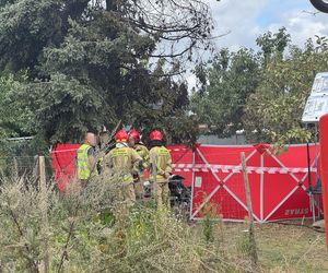Wypadek awionetki w Krzycku Wielkim