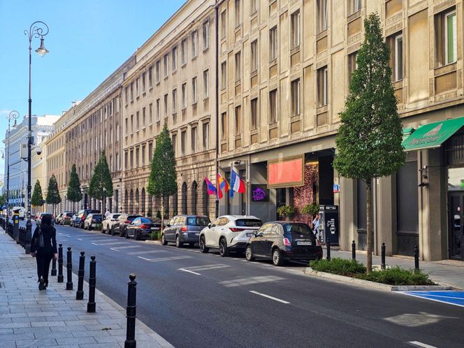 Nowe drzewa na ul. Mazowieckiej