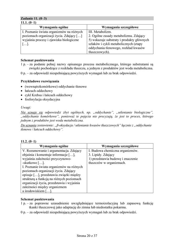 Matura 2019 z biologii [ARKUSZE CKE, ODPOWIEDZI]