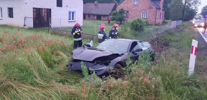 Gaszyn: ROZBIŁ w rowie FERRARI, by ratować życie psa. Wypadek w podłódzkiej wsi słono go kosztował