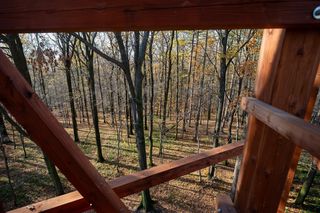 Nowa wieża widokowa w Małopolsce już otwarta. Warto wybrać się tam zwłaszcza jesienią