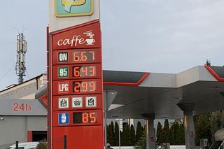Ceny paliw na stacjach. W tym mieście najtaniej