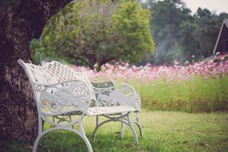 Ogród w stylu prowonsalskim