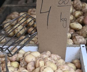  Ceny nowalijek na warszawskich bazarach szokują. Byliśmy i sprawdziliśmy ile trzeba zapłacić