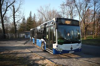 Specjalne autobusy dla medyków w Krakowie. Uruchomiono osiem nowych linii [ZDJĘCIA]