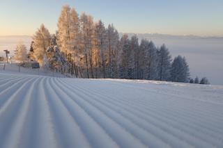 Ośrodek narciarski w Pieninach alternatywą dla Tatr. Mnóstwo tras, brak tłumów i kolejek 