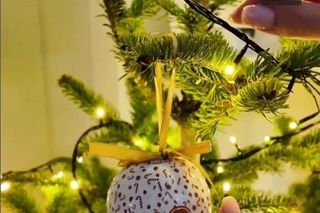 Rzeźniczakowie już świętują. W sieci pokazali ogromną choinkę