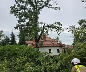 Skutki nawałnic w powiatach brzeskim i tarnowskim z 7 lipca 2025 roku