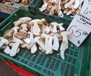 Ceny grzybów na Nowym i Starym Kleparzu w Krakowie