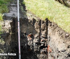 Zorganizowana grupa przestępcza zakopywała odpady w Przemęckim Parku Krajobrazowym