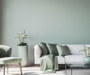 Zielony salon