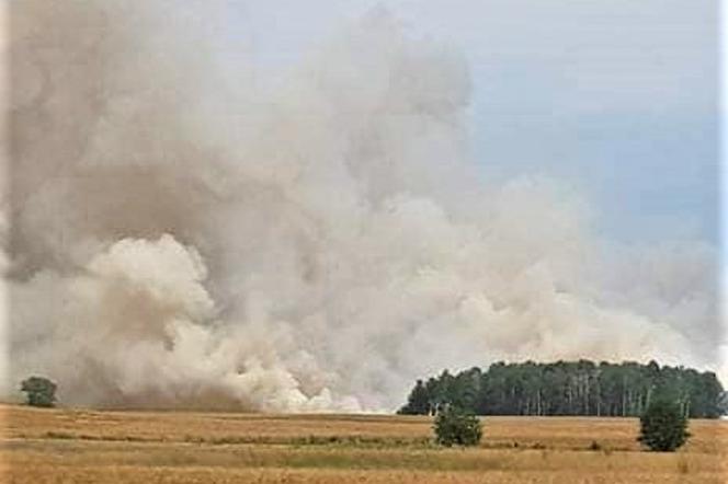 Ogromny pożar zboża w Borucinie koło Okonka