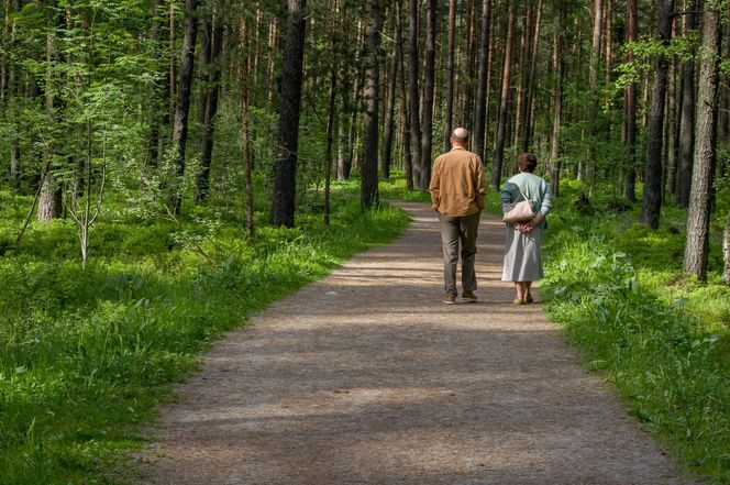 Województwo opolskie, pomorskie, śląskie, świętokrzyskie – po 9 miesięcy