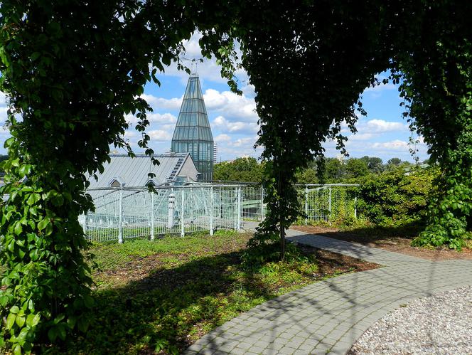 Szukasz plenerów do fotografii? Sprawdź, gdzie robić zdjęcia w Warszawie! [GALERIA]