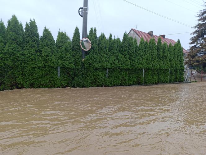 Zagrożenie powodziowe. Głuchołazy. Woda przelała się przez wały. Zalewa miasto