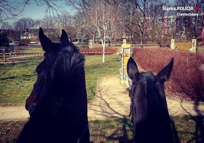 Policjanci czujni w dobie epidemii. Tak patrolują ulice miast Śląska i Zagłębia [ZDJĘCIA]