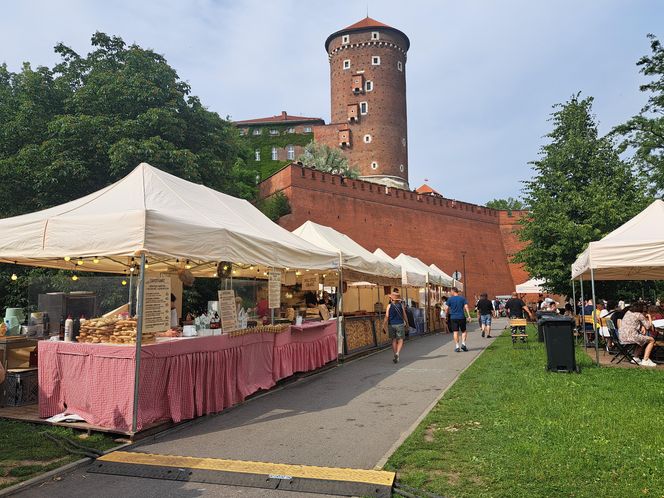 Smoczy Piknik Rodzinny 2025 w Krakowie