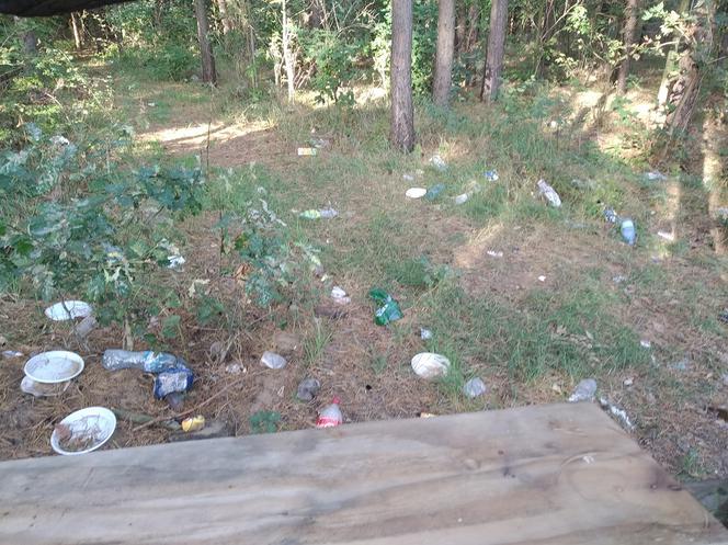 Las nieopodal ulicy Szmaragdowej tonie w śmieciach. 