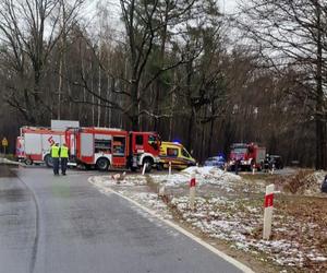 Audi roztrzaskało się na drzewie, 40-latek zginął na miejscu