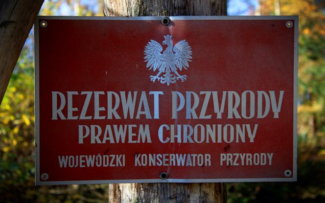 Rezerwat nad jeziorem Świdwie