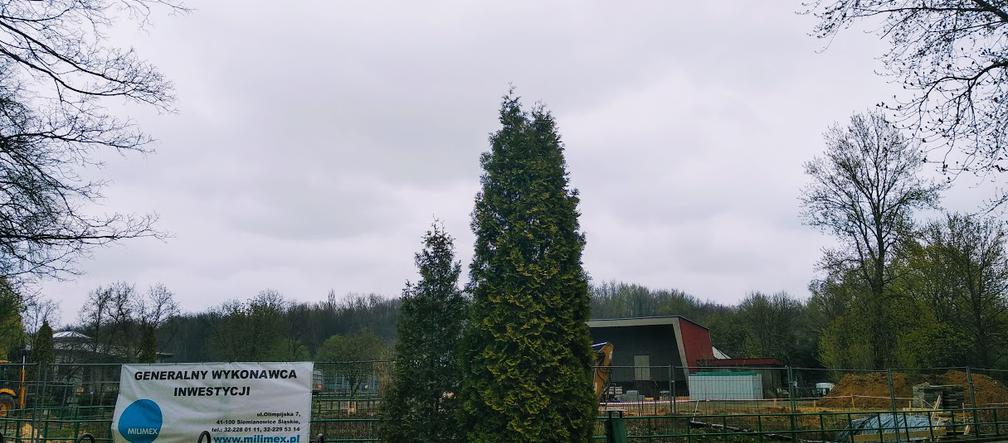 Chorzów: Po 42 latach do Śląskiego Ogrodu Zoologicznego wracają pingwiny! [ZDJĘCIA, AUDIO]