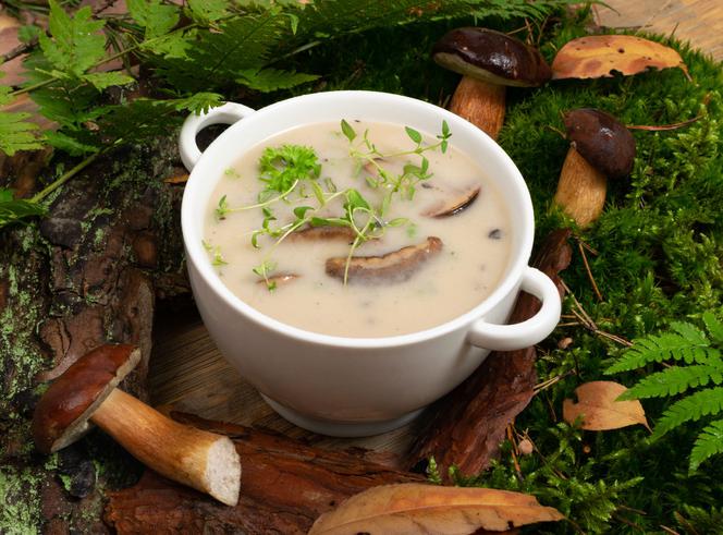 Fenomenalna zupa grzybowa babci: pyszna zupa ze świeżych grzybów z makaronem