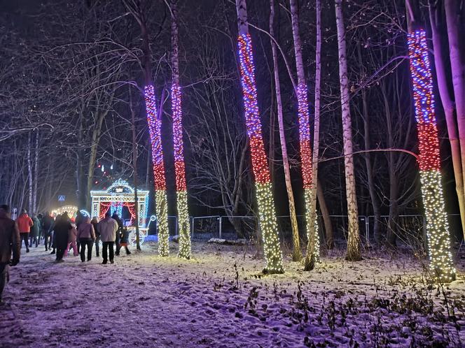 Odwiedziłam Ogród Świateł w Gdyni. Poczuj ze mną magiczny klima