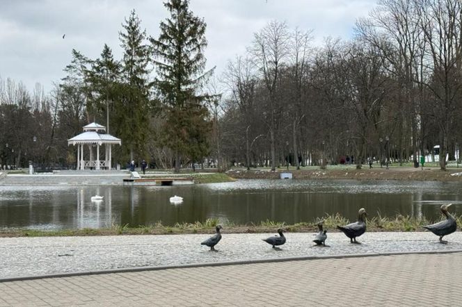 Rozbudowa ważnej trasy pod Lublinem. Ułatwi dojazd do turystycznej perły regionu