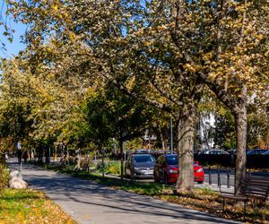 Park linearny na Bielanach w Warszawie