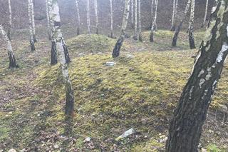 Wandalizm w centrum Trzebini. Śmieci, uszkodzone drzewka i zniszczona ścieżka pszczelarska