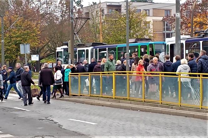 Dzień Wszystkich Świętych na Cmentarzu Centralnym w Szczecinie