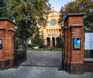  Brutalny atak w kościele w Warszawie. Były rugbista bił do nieprzytomności. Sąd umorzył postępowanie