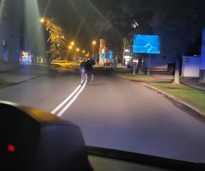 Niezwykły gość w Tarnowie. Policja eskortowała łosia