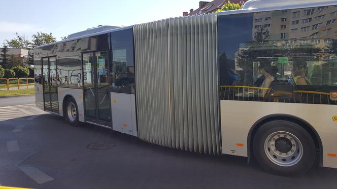 Pierwszy kurs autobusu przegubowego w Grudziądzu