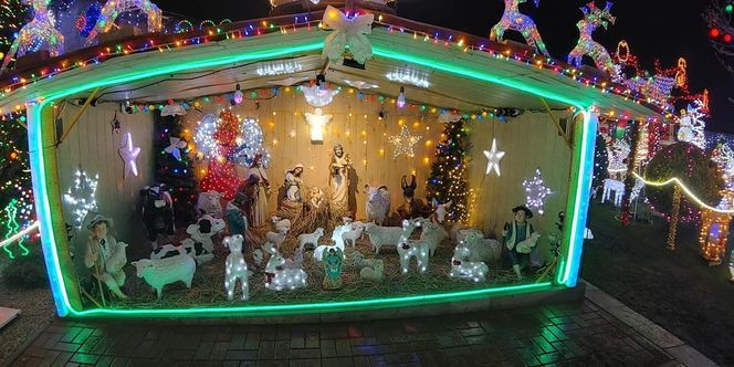 Griswoldowie z Dolnego Śląska. Najbardziej świąteczny dom mieni się tysiącami lampek 