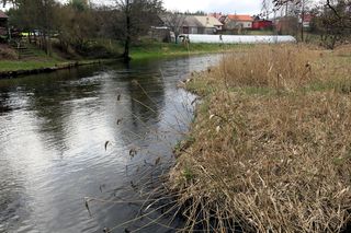 Rzeka Czarna Hańcza