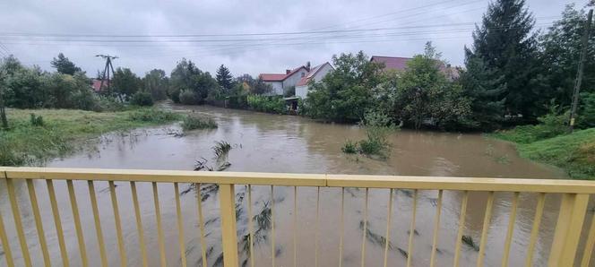 Prezydent Legnicy apeluje do mieszkańców o pomoc. Trwa zabezpieczanie wałów na Kaczawie 