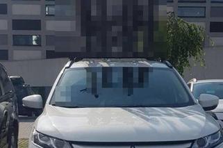 Reda: Potworna męczarnia kota w rozgrzanym aucie. Cierpiał wiele godzin. Policjanci wybili szybę pałką