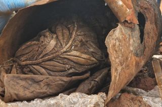 Muzeum nie uzyskało dotacji na renowację odnalezionego sztandaru AK. Ruszyła zbiórka 