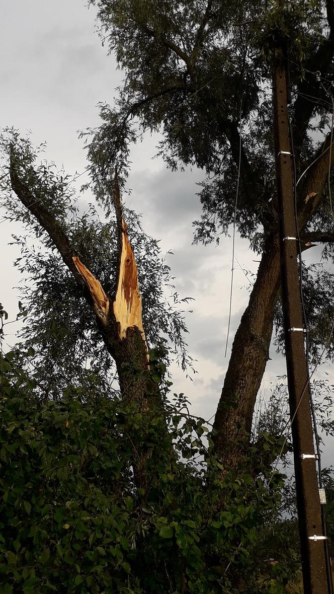 Skutki burzy w Krynkach. Złamany konar zerwał linię energetyczną i uszkodził auto